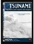 Amazon.com: Tsunami: The Wave that Shook the World